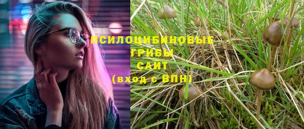 круглые Аркадак